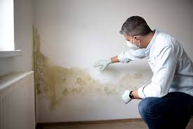 Mold Documentation for Insurance Claims in Angleton, TX